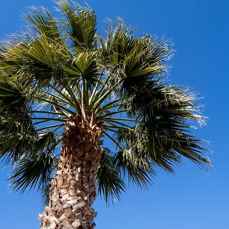 Votistis A1 Lefkáda